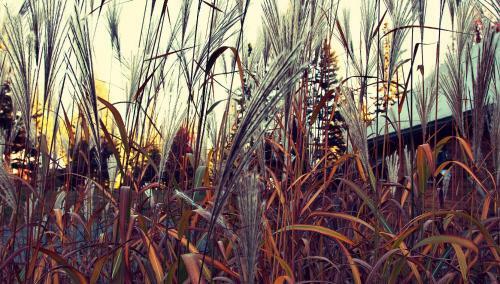 Domaine Summum