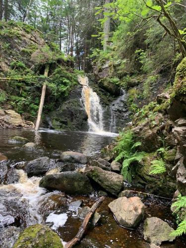 Apartment Am Wasserfall - Erholung In Top-lage