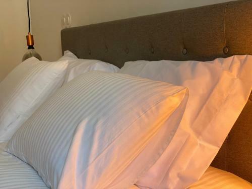 Hostal Casa Da Trincheira , Turismo de Habita��o