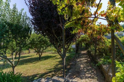 Quinta De Villa Franca - Douro