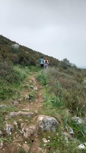 Hostal Telesico Residencia