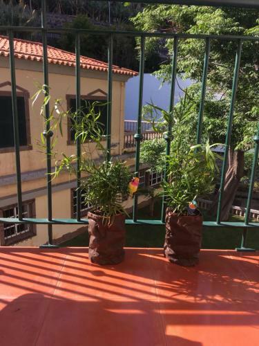 Apartamento Sol Apt