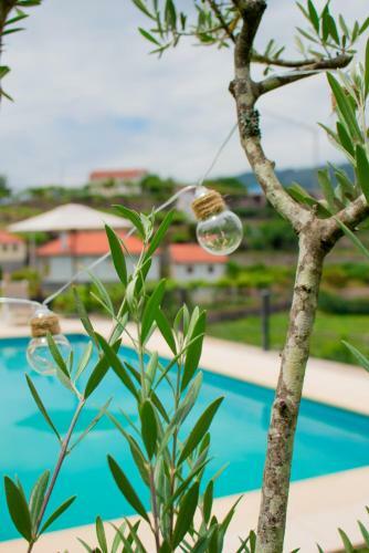 Agroturismo Casa Das Letras - Turismo Rural
