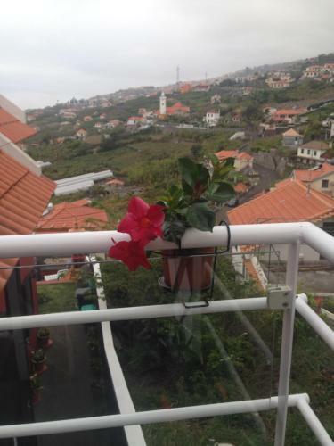 Apartamento Studio Privado Com Vista Mar E Montanha