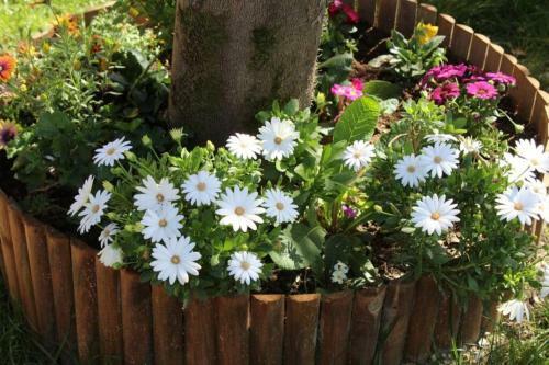 Recanto Tia S�o Magalh�es
