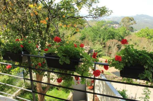 Recanto Tia S�o Magalh�es