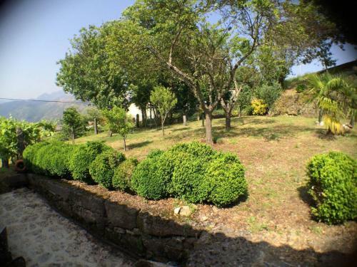 Lodge Casa Do Assento - Castelo