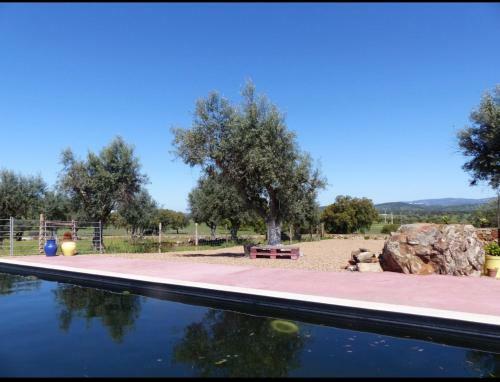 Agroturismo Herdade Da Carapu�a