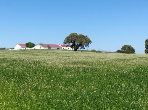 Agroturismo Herdade Da Carapu�a