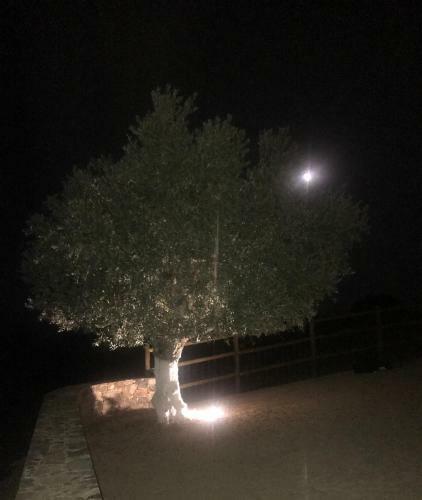 Agroturismo Herdade Da Carapu�a