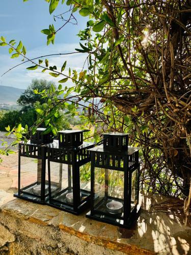 Casa Do Sobreiro-quinta Do Briando