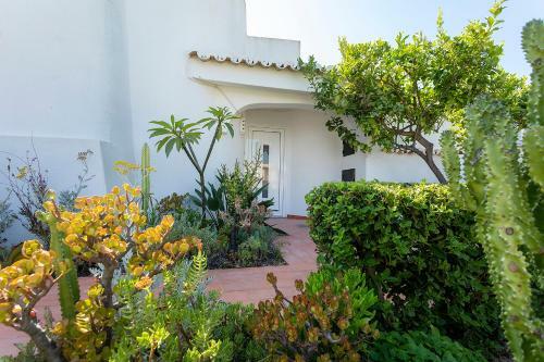 Villa Morning Paradise