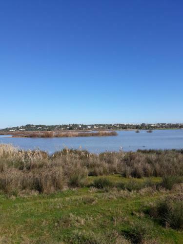 Apartamento Dreaming Of Algarve