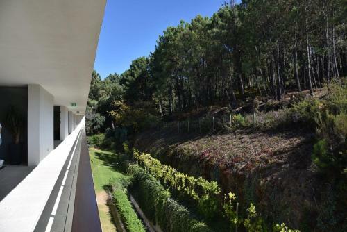 Apartamento Varanda Do Golfe