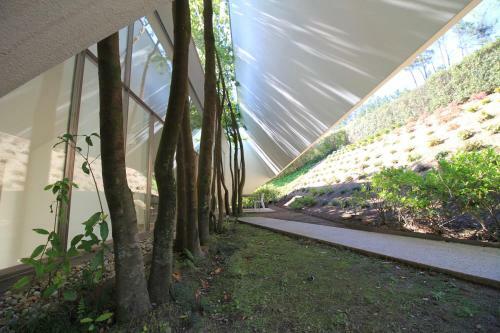 Slope Design Villa - Luxurious Architecture Villa