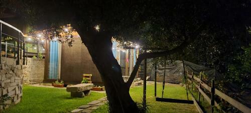 Hostal Fernandes Guest House&bungalows