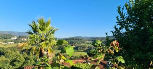 Hostal Fernandes Guest House&bungalows