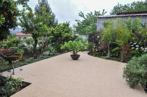 Casa Do Azevinho Grupo Casas Do Lima