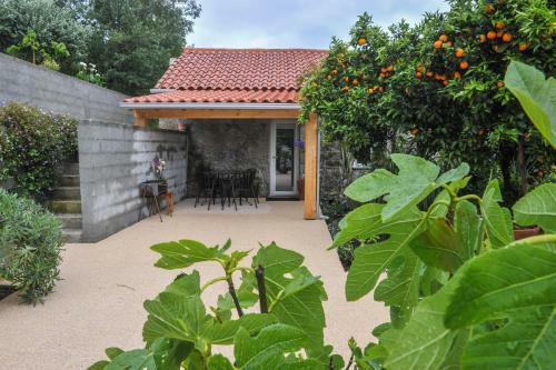 Casa Do Azevinho Grupo Casas Do Lima