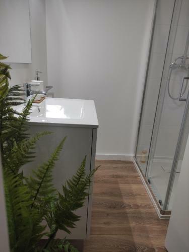 Apartamento Pinheiro Guest House