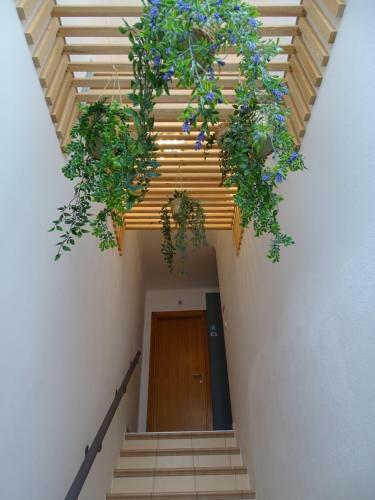 Hostal Calmaria Guesthouse