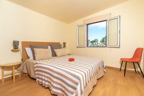Apartamento Quinta Frizado