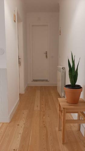 Hostal O Violas - Art Coffee & Guesthouse