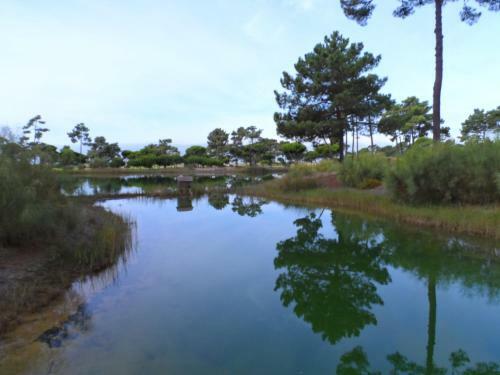 Golf, Praia, Casino, Ar Puro