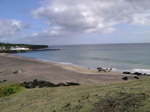 Beach & Nature Nest