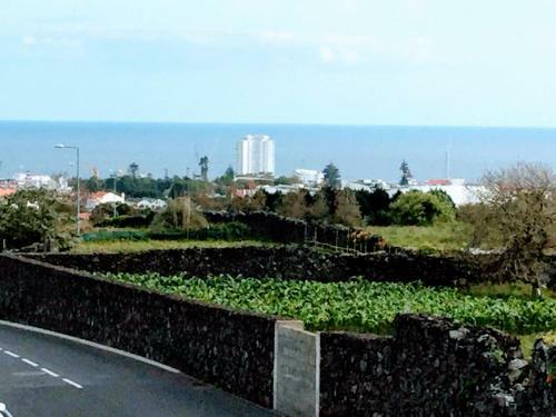 Apartamento Do Parque
