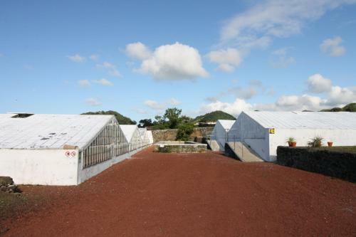 Santa Rita Greenhouse Villas