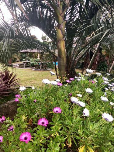 Quinta Da Bela Vista