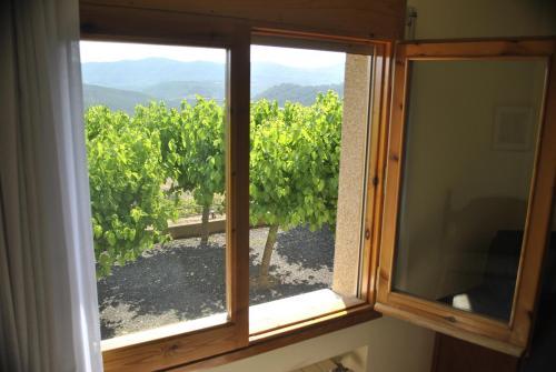 Hostal El Viol�