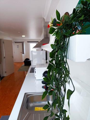 Apartamento City Center House