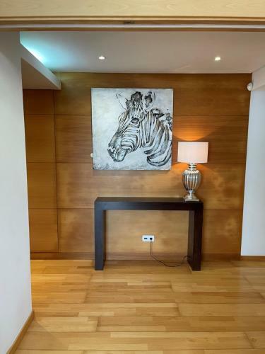 Penthouse Terrace Apartment
