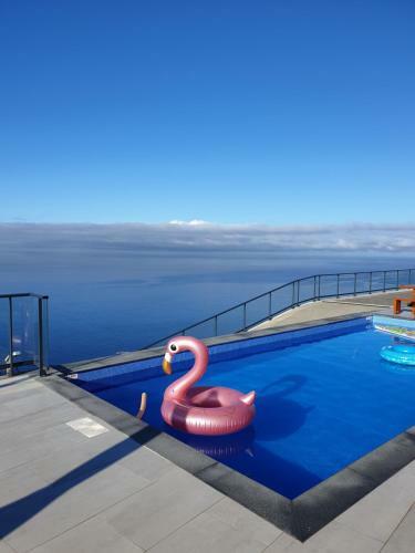 Villa Brava Atl�ntico