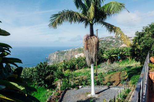 Lovely 3-bed Cottage In Ribeira Brava
