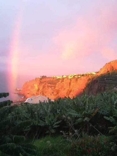 Lovely 3-bed Cottage In Ribeira Brava