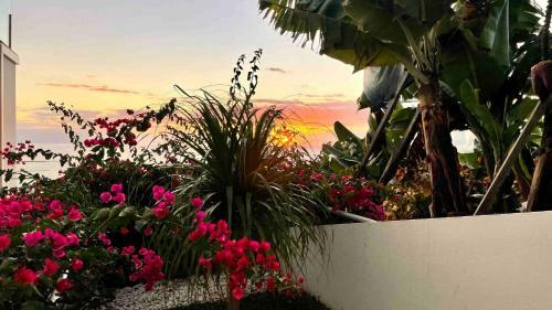 Holiday Apartment Ocean View