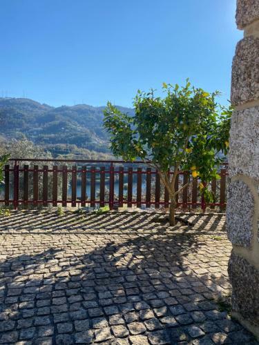 Casinhas Da Carmo - Lagar