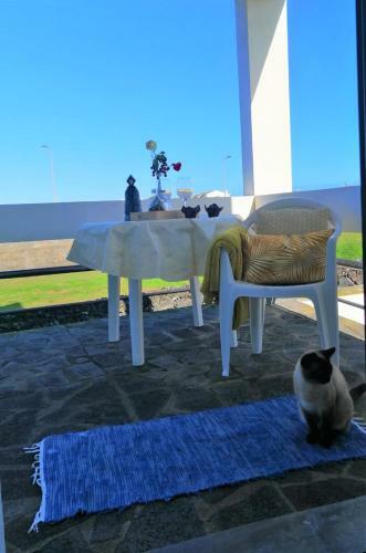 Hostal Surf & Guest Lorena�s House