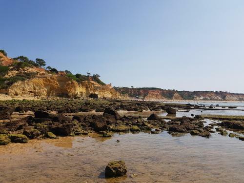 Apartment 100m From Beach