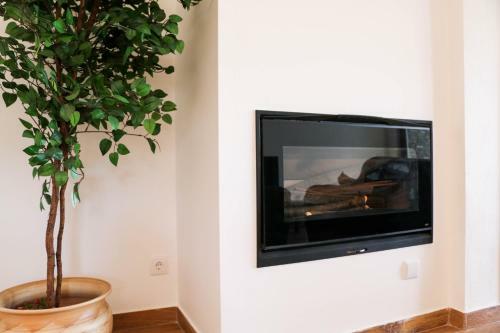 Teoria Guest House