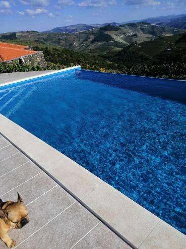 Teoria Guest House