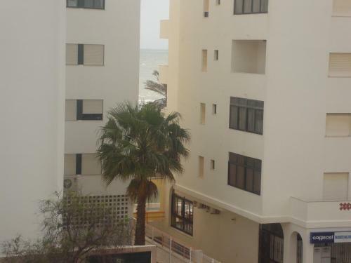Apartamento Perola Avenida