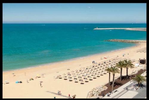 Apartamento Paz Na Areia
