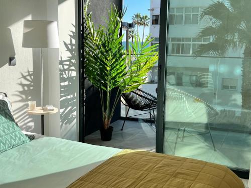 Apartamento Terra�os Quarteira 2d3