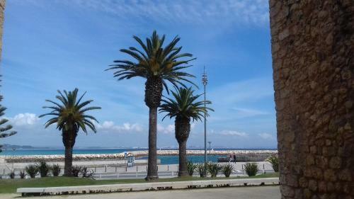 Apartamento Docevida Appartement # Ocean View