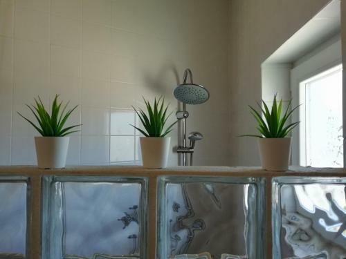Hostal Blacksheep Sagres Guesthouse & Surf