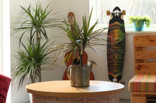 Hostal Blacksheep Sagres Guesthouse & Surf